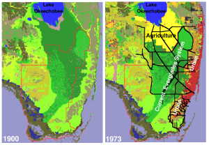 South Florida Land Use Change