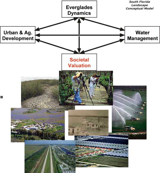 South Florida Conceptual Model